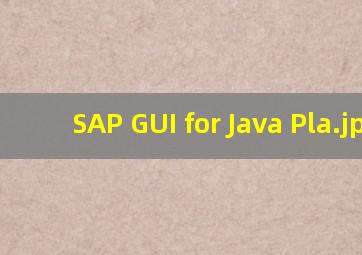 SAP GUI for Java Pla