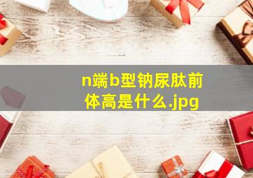 n端b型钠尿肽前体高是什么