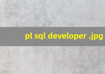 pl sql developer 