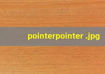 pointerpointer 