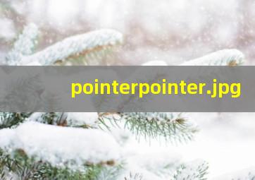 pointerpointer
