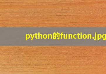 python的function