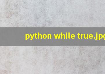 python while true