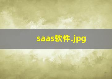 saas软件